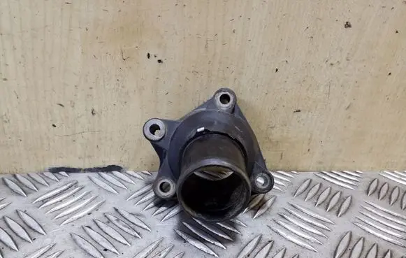 Thermostat/thermostat housing