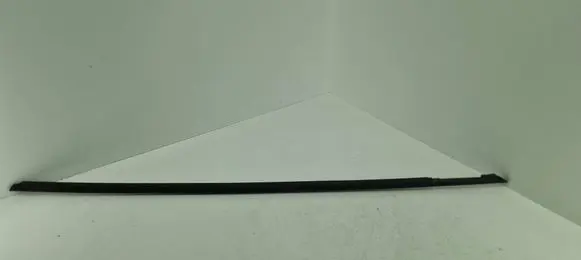 Chevrolet Camaro Front door glass trim molding 