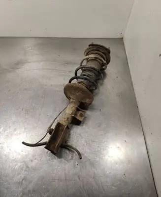 Suzuki Grand Vitara II Front shock absorber with coil spring