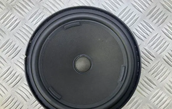 Volkswagen PASSAT B8 Front door speaker 3G0035454