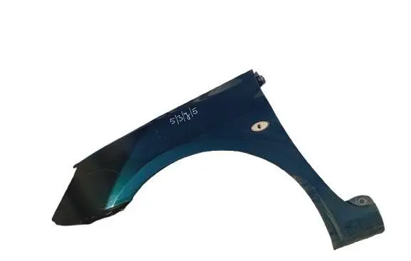 Peugeot 307 Fender