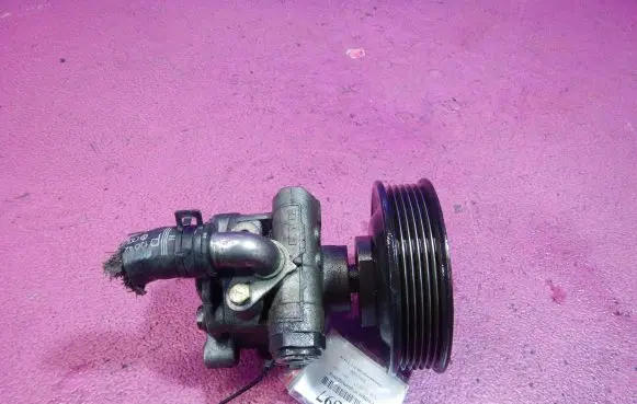 Volkswagen Golf IV Power steering pump 10422154B