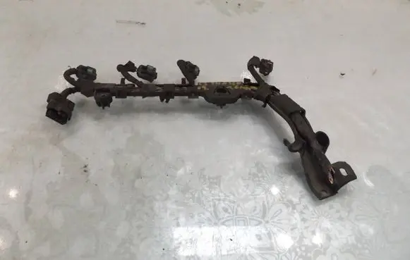 Citroen C3 Picasso Fuel injector wires 