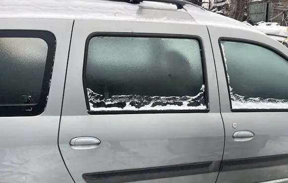 Dacia Logan I Rear door 