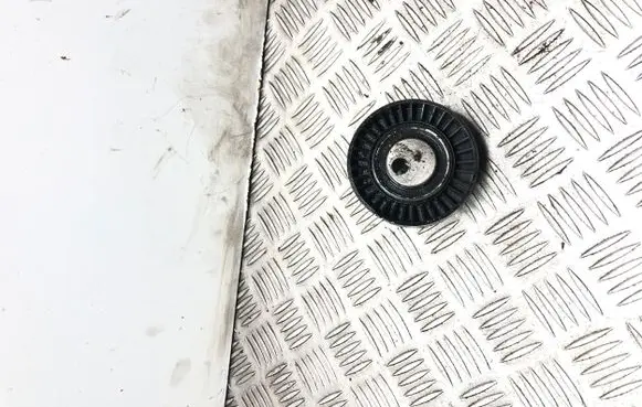 BMW 3 E46 Timing belt tensioner 