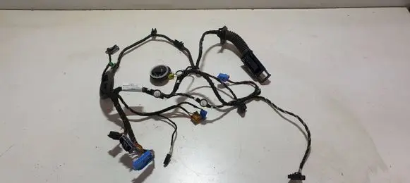Front door wiring loom