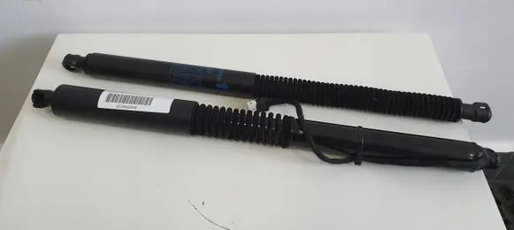 BMW X3 G01 Tailgate/trunk strut/damper 7497482