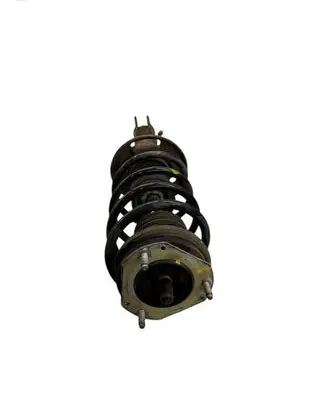 Ford Ecosport Front shock absorber with coil spring