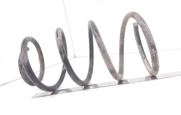 Front coil spring