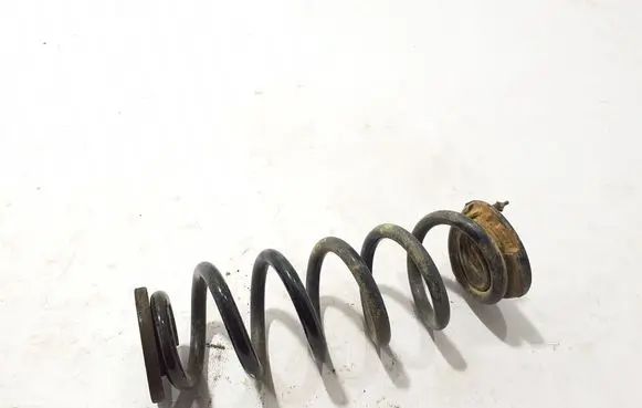 Rear coil spring