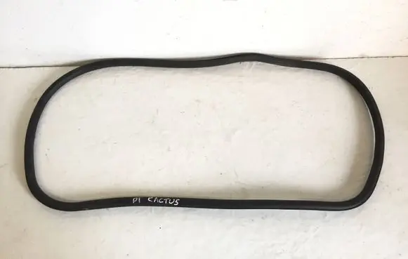 Citroen C4 Cactus Rear door rubber seal (on body) USZCZELKAC4CAC