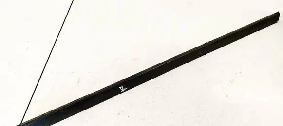 Honda Accord Front door glass trim molding