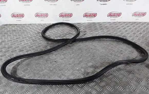 Audi Q5 SQ5 Rubber seal front door (on door) 8R0831721F