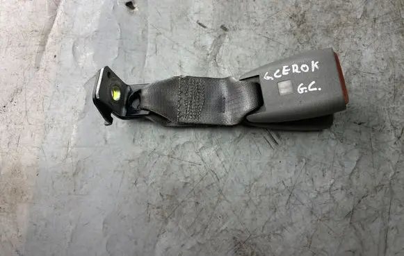 Jeep Grand Cherokee (WK) Middle seatbelt buckle (rear) 1CM171D5AA