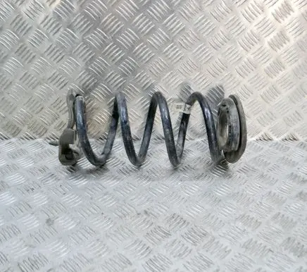 Tesla Model 3 Rear coil spring 104447201E