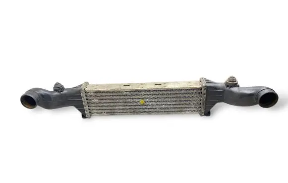 Mercedes-Benz C W202 Intercooler radiator A2025001100