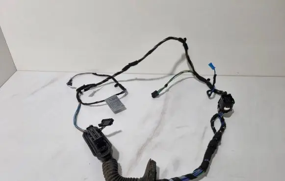 Front door wiring loom