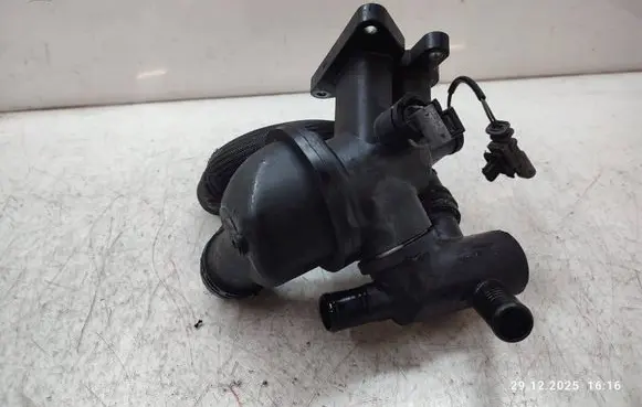 Thermostat/thermostat housing
