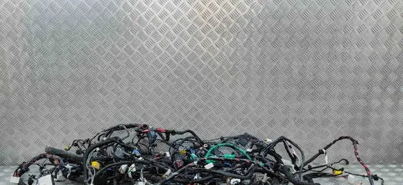 Tesla Model X Other wiring loom 103242960G