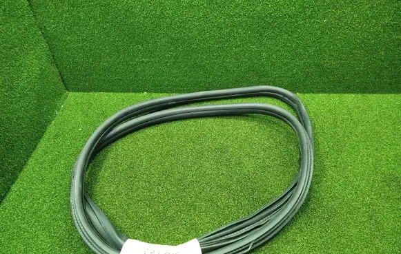 Citroen C4 Cactus Front door rubber seal 