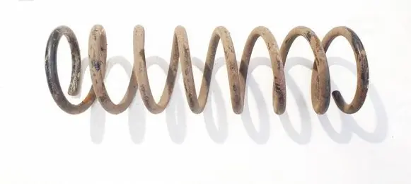 Rear coil spring