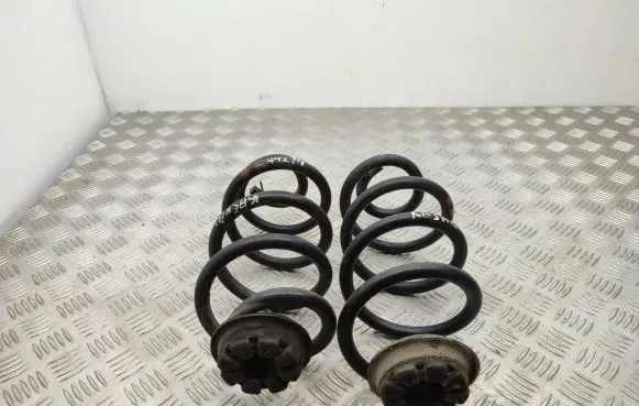 Nissan Qashqai Rear coil spring