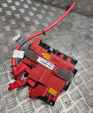 BMW X3 F25 Positive wiring loom 9206140