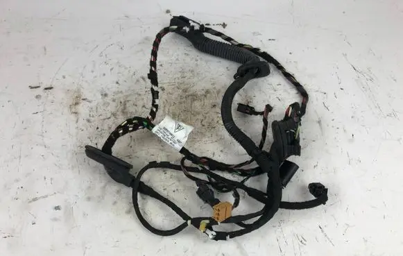 Rear door wiring loom