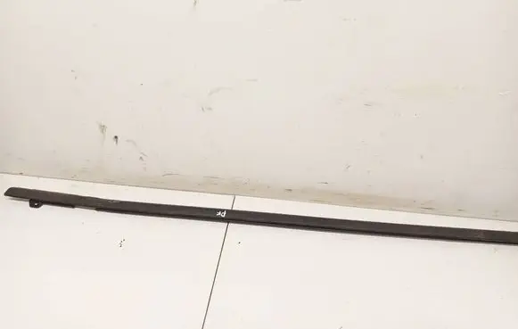 Ford Fiesta Front door glass trim molding 