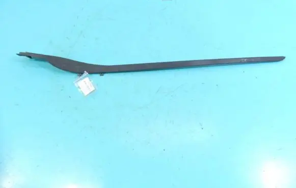Renault Latitude (L70) Windshield trim 769120019R IMPRK1179943