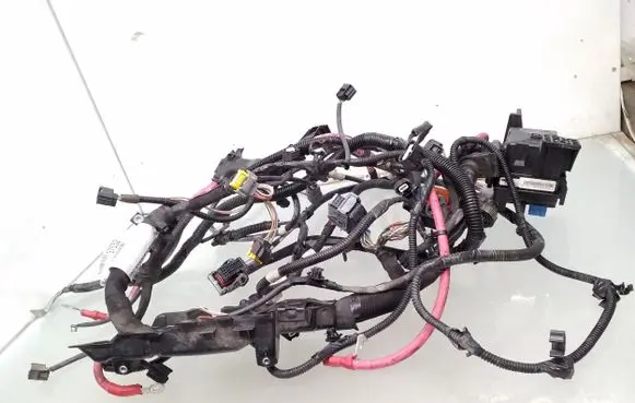 Engine installation wiring loom