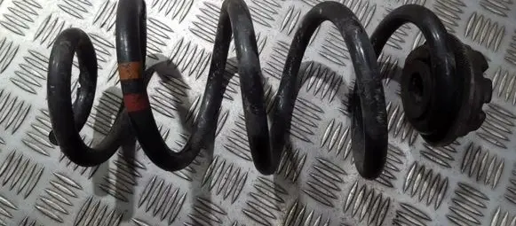 Rear coil spring