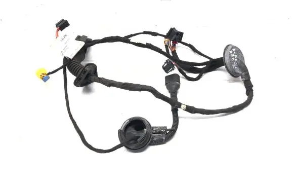 Audi A4 S4 B8 8K Front door wiring loom 8K0971030 TKB010766LC