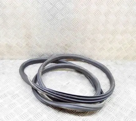 BMW X3M F97 Rubber seal front coupe door 7393423