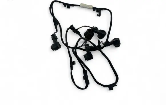 Other wiring loom