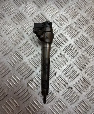 Volkswagen PASSAT B7 Fuel injector 0445110369 03L130277J 120309
