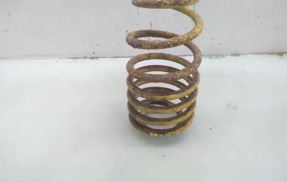 Seat Leon (1M) Rear coil spring