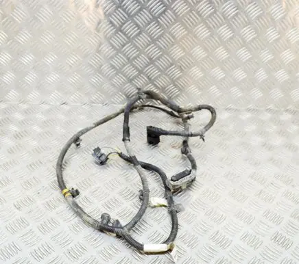 Tesla Model 3 Other wiring loom 106876901D