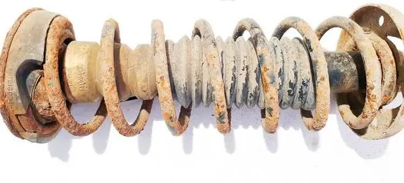 Rear coil spring