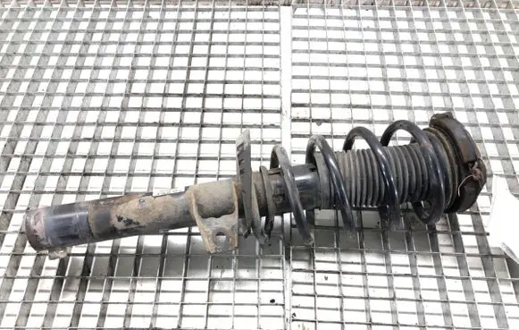 Volkswagen PASSAT B7 Front shock absorber/damper 3C0413031N