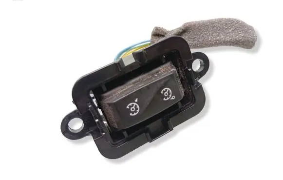 Renault Megane III Cruise control switch 1015009001
