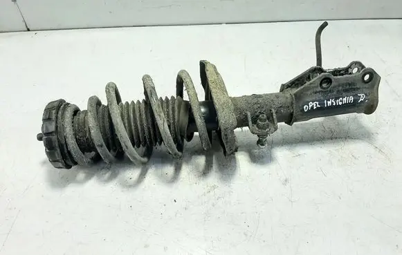 Opel Insignia A Front shock absorber/damper 