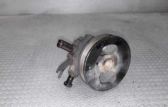 KIA Carnival Power steering pump