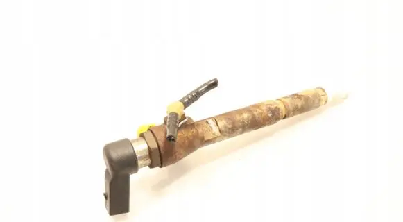 Nissan Qashqai Fuel injector 8200294788