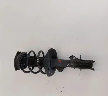 Nissan Leaf II (ZE1) Front shock absorber with coil spring