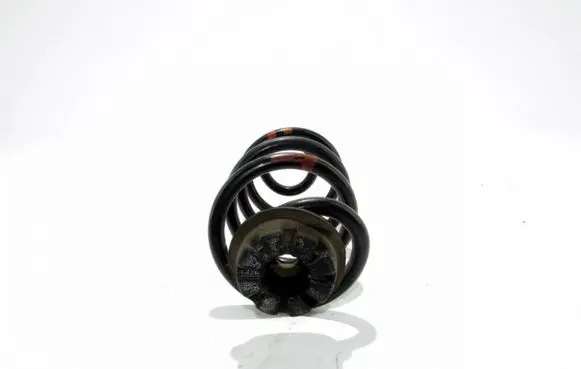 Nissan Qashqai Rear coil spring