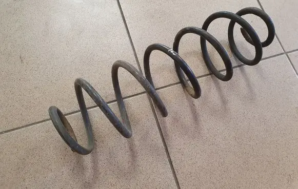 Rear coil spring