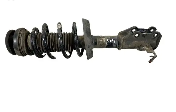 Opel Insignia A Front shock absorber with coil spring 13319745 315000331 562400005434