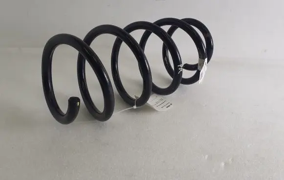 Ford Mustang Mach-E Front coil spring LJ9C5310NBB