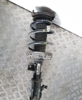 KIA Optima Front shock absorber with coil spring 54650D4920